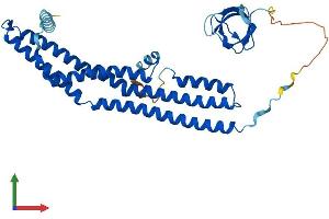 Protein Structure (PS) image for Endophilin-A3 (SH3GL3) (AA 1-347) protein (His tag) (ABIN7557790)