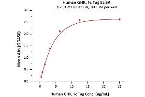 Immobilized Human GH, Tag Free at 2 μg/mL (100 μL/well) can bind Human GHR, Fc Tag (ABIN2181157,ABIN2181156) with a linear range of 0. (Growth Hormone Receptor Protein (GHR) (AA 27-264) (Fc Tag))