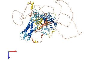 DAGLA Protein (AA 1-1042) (His tag)