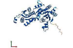 Protein Structure (PS) image for Phosphoglycolate Phosphatase (PGP) (AA 1-321) protein (His tag) (ABIN7550695)