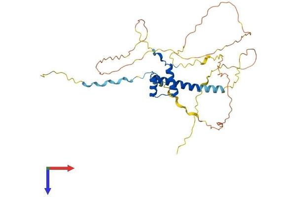 HMX3 Protein (AA 1-357) (His tag)