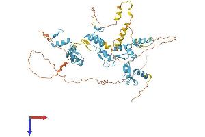 ZNF775 Protein (AA 1-537) (His tag)