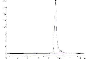 Size-exclusion chromatography-High Pressure Liquid Chromatography (SEC-HPLC) image for Angiopoietin-Like 4 (ANGPTL4) (AA 168-410) protein (His tag) (ABIN7273838)