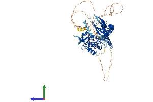 Protein Structure (PS) image for Tousled-Like Kinase 1 (TLK1) (AA 1-766) protein (His tag) (ABIN7564489)