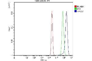 Flow Cytometry analysis of U20S cells using anti-FFR/VPS51 antibody (ABIN7601551). (VPS51 Antikörper  (AA 38-781))