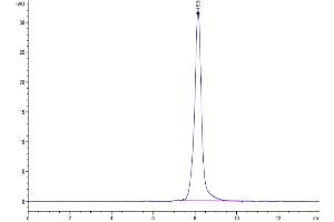 Size-exclusion chromatography-High Pressure Liquid Chromatography (SEC-HPLC) image for CUB Domain Containing Protein 1 (CDCP1) (AA 29-667) protein (His-Avi Tag,Biotin) (ABIN7274292)