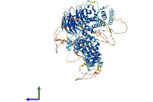 Protein Structure (PS) image for Hermansky-Pudlak Syndrome 5 (HPS5) (AA 1-1126) protein (His tag) (ABIN7563479)