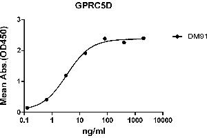 ELISA plate pre-coated by 2 μg/mL (100 μL/well) Human GPRC5D protein, hFc-His tagged protein ((ABIN6961124, ABIN7042277 and ABIN7042278)) can bind Rabbit anti-GPRC5D monoclonal antibody(clone: DM91) in a linear range of 0.
