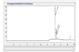 Image no. 2 for Peptidylprolyl Isomerase A (Cyclophilin A) (PPIA) (AA 143-155) peptide (Ovalbumin) (ABIN5666147) (Peptidylprolyl Isomerase A (Cyclophilin A) (PPIA) (AA 143-155) peptide (Ovalbumin))