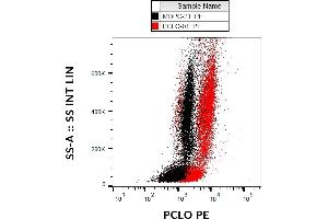 Flow cytometry analysis (intracellular staining) of PCLO in human peripheral blood using mouse monoclonal (PCLO-01) PE. (PCLO Antikörper  (PE))