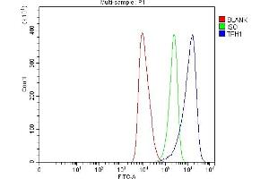 Flow Cytometry analysis of HEL cells using anti-Tryptophan Hydroxylase/TPH1 antibody (ABIN7601556). (Tryptophan Hydroxylase 1 Antikörper  (AA 383-444))