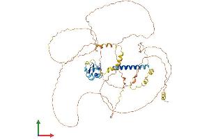 Protein Structure (PS) image for Praja Ring Finger 1, E3 Ubiquitin Protein Ligase (PJA1) (AA 1-578) protein (His tag) (ABIN7562492)