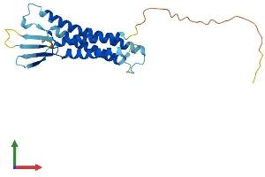 Protein Structure (PS) image for Claudin 6 (CLDN6) (AA 1-220) protein (His tag) (ABIN7546613)