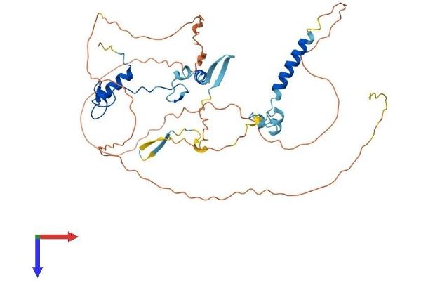GPATCH4 Protein (AA 1-415) (His tag)