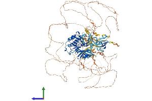 AlphaFold protein structure predicition of Mouse Recombinant Pask Protein, UniprotID Q8CEE6 (PASK Protein (AA 1-1383) (His tag))