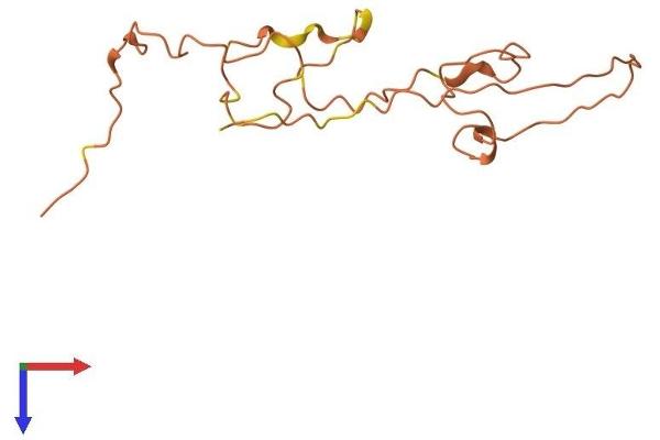 SMCP Protein (AA 1-143) (His tag)
