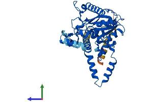 Protein Structure (PS) image for Diacylglycerol O-Acyltransferase 2 (DGAT2) (AA 1-388) protein (His tag) (ABIN7561359)