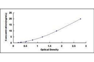 ELISA image for Fatty Acid Desaturase 3 (FADS3) ELISA Kit (ABIN421037)