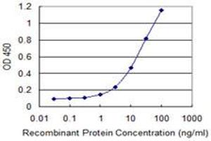 Detection limit for recombinant GST tagged NT5E is 0. (CD73 Antikörper  (AA 28-264))
