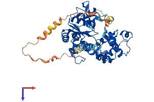 CHST12 Protein (AA 1-414) (His tag)