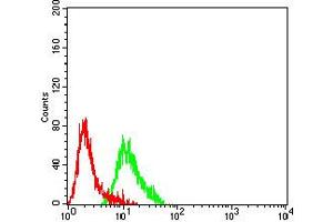 Flow cytometric analysis of SK-N-SH cells using GRM2 mouse mAb (green) and negative control (red). (GRM2 Antikörper  (AA 414-558))