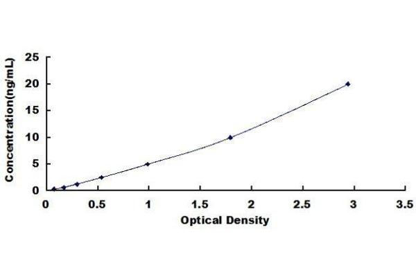 MMP11 ELISA Kit