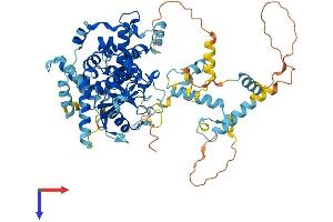 ECD/SGT1 Protein (AA 1-644) (His tag)