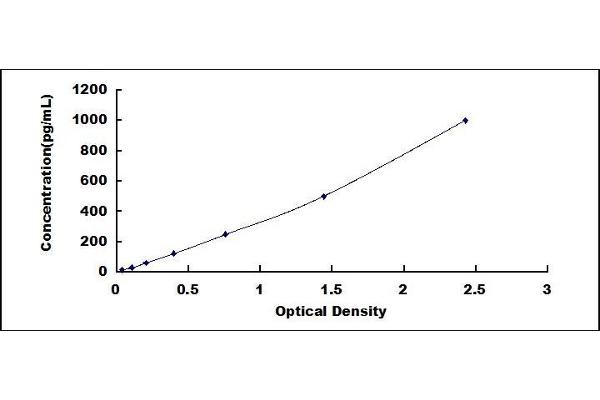 FGF8 ELISA Kit