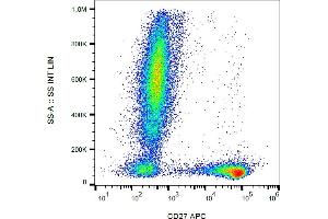 Flow cytometry analysis (surface staining) of human peripheral blood cells with anti-human CD27 (LT27) APC.