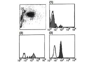 Flow Cytometry (FACS) image for anti-Cytochrome B-245, alpha Polypeptide (CYBA) antibody (FITC) (ABIN1449194)