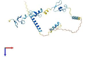 ZFAND2B Protein (AA 1-257) (His tag)