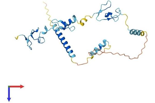ZFAND2B Protein (AA 1-257) (His tag)