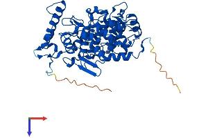 FNTB Protein (AA 1-437) (His tag)