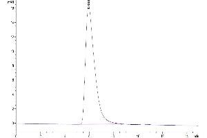 Size-exclusion chromatography-High Pressure Liquid Chromatography (SEC-HPLC) image for Interleukin 7 Receptor (IL7R) (AA 21-236) protein (Fc Tag) (ABIN7274965)