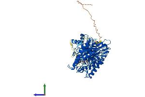 Protein Structure (PS) image for Methylenetetrahydrofolate Reductase (NAD(P)H) (MTHFR) (AA 1-656) protein (His tag) (ABIN7549577)
