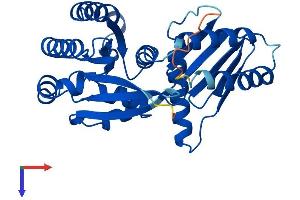 RRAGA Protein (AA 1-313) (His tag)