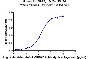 Immobilized Human IL-18RAP, hFc Tag at 0. (IL18RAP Protein (AA 20-356) (Fc Tag))