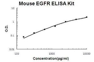 Mouse EGFR PicoKine ELISA Kit standard curve