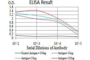 Black line: Control Antigen (100 ng);Purple line: Antigen (10ng); Blue line: Antigen (50 ng); Red line:Antigen (100 ng) (DDX1 Antikörper  (AA 642-740))