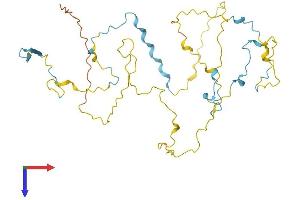 STPG1 Protein (AA 1-334) (His tag)