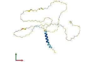 Protein Structure (PS) image for Linker For Activation of T Cells (LAT) (AA 1-242) protein (His tag) (ABIN7562455)
