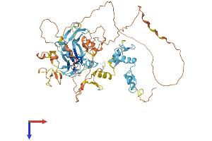 PRDM6 Protein (AA 1-596) (His tag)