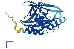 NUDT7 Protein (AA 1-236) (His tag)