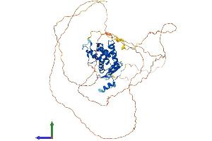 Protein Structure (PS) image for Methyl-CpG Binding Domain Protein 4 (MBD4) (AA 1-580) protein (His tag) (ABIN7549356)