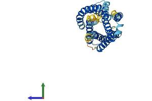 Protein Structure (PS) image for G Protein-Coupled Receptor 55 (GPR55) (AA 1-327) protein (His tag) (ABIN7557209)