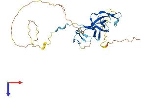 GATAD1 Protein (AA 1-266) (His tag)