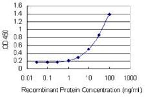 Detection limit for recombinant GST tagged LOC402176 is 1 ng/ml as a capture antibody. (RPL21P44 Antikörper  (AA 1-136))
