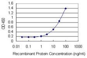 Detection limit for recombinant GST tagged LOC402176 is 1 ng/ml as a capture antibody.