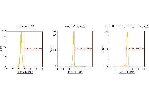 Flow Cytometry (FACS) image for anti-Cofilin 1 (CFL1) (AA 1-166) antibody (PE) (ABIN5567003) (Cofilin Antikörper  (AA 1-166) (PE))