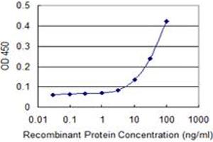 Detection limit for recombinant GST tagged NPR2 is 3 ng/ml as a capture antibody. (NPR2 Antikörper  (AA 131-230))